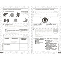 НУШ Довкілля. 6 клас. Поточне та підсумкове оцінювання за групами результатів + діагностувальна робота Ранок Кот. К.В. (2025 рік)