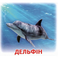 Роздавальні картки. Жителі морів та океанів Ранок Міні-картки
