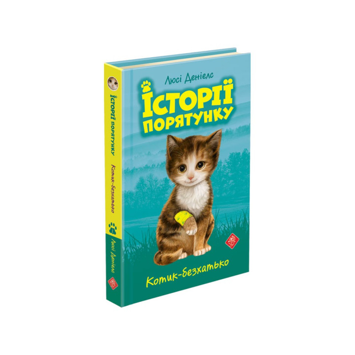 Історії порятунку. Котик - безхатько