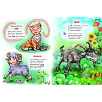 Веселі тваринки Белкар-книга Вірші, казки, загадки. Світ казки