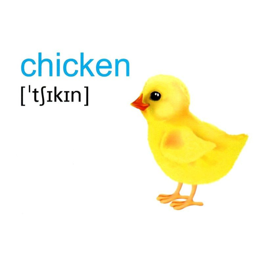 НУШ Набір карток англійською мовою Підручники і посібники English : flashcards. Farm animals, birds and pets Тварини і птахи НУШ Набір карток англійською мовою Підручники і посібники English : flashcards. Farm animals, birds and pets Тварини і птахи