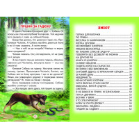 Вогник у вікні Белкар-книга Оповідання, казки Веселка Сухомлинський