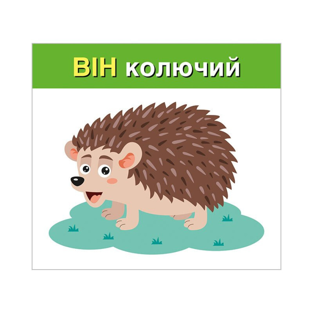 Навчальні картки. Вивчаємо займенники ВІН, ВОНА, ВОНО, ВОНИ. Ранок/Наочні посібники Навчальні картки. Вивчаємо займенники ВІН, ВОНА, ВОНО, ВОНИ. Ранок/Наочні посібники