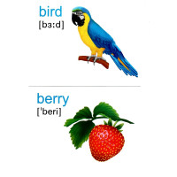 НУШ Набір карток англійською мовою Підручники і посібники English: flashcards. Nature Природа