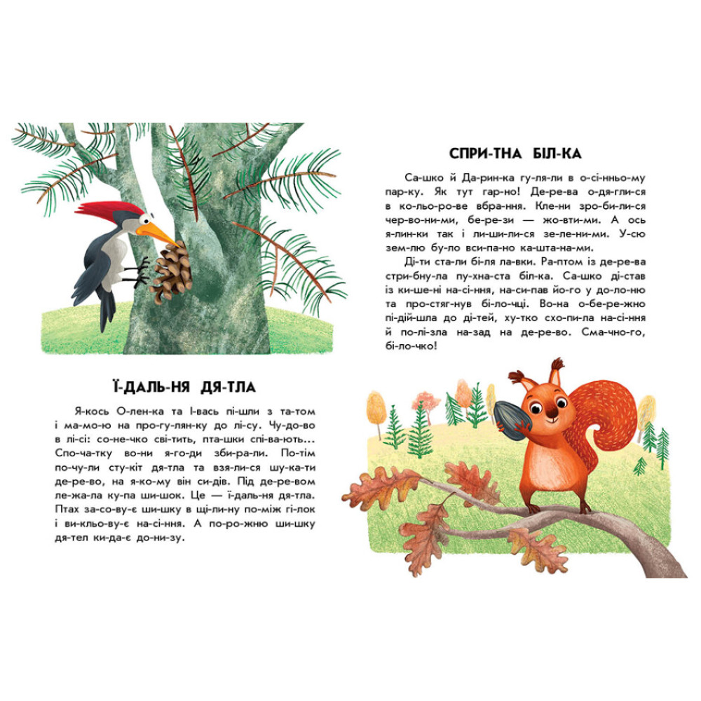 10 історій по складах. Спритна білка Ранок Каспарова Ю.В. 10 історій по складах. Спритна білка Ранок Каспарова Ю.В.
