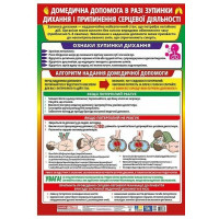 Плакат. Домедична допомога при кровотечах Ранок