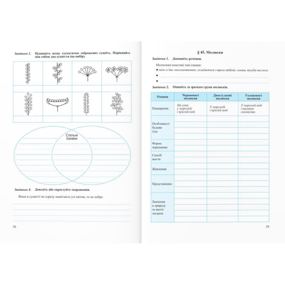 НУШ Робочий зошит Пiдручники i посiбники Біологія 7 клас до підручника Балан та ін.
