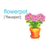 НУШ Набір карток англійською мовою Підручники і посібники English : flashcards. My house Мій будинок