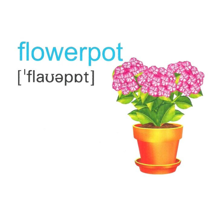 НУШ Набір карток англійською мовою Підручники і посібники English : flashcards. My house Мій будинок