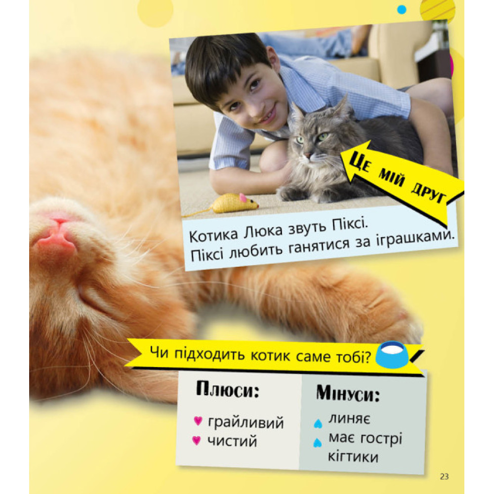 Домашні улюбленці і не тільки… Перше читання Non Fiction. Рівень 5 Ранок Домашні улюбленці і не тільки… Перше читання Non Fiction. Рівень 5 Ранок