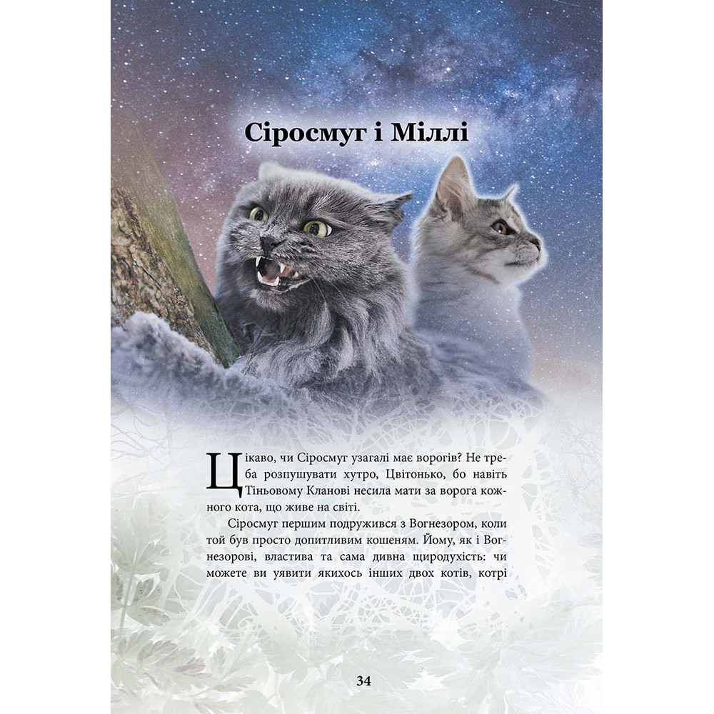 Коти-вояки АССА Герої Кланів. Хроніки Зореклану (Ерін Гантер) Коти-вояки АССА Герої Кланів. Хроніки Зореклану (Ерін Гантер)