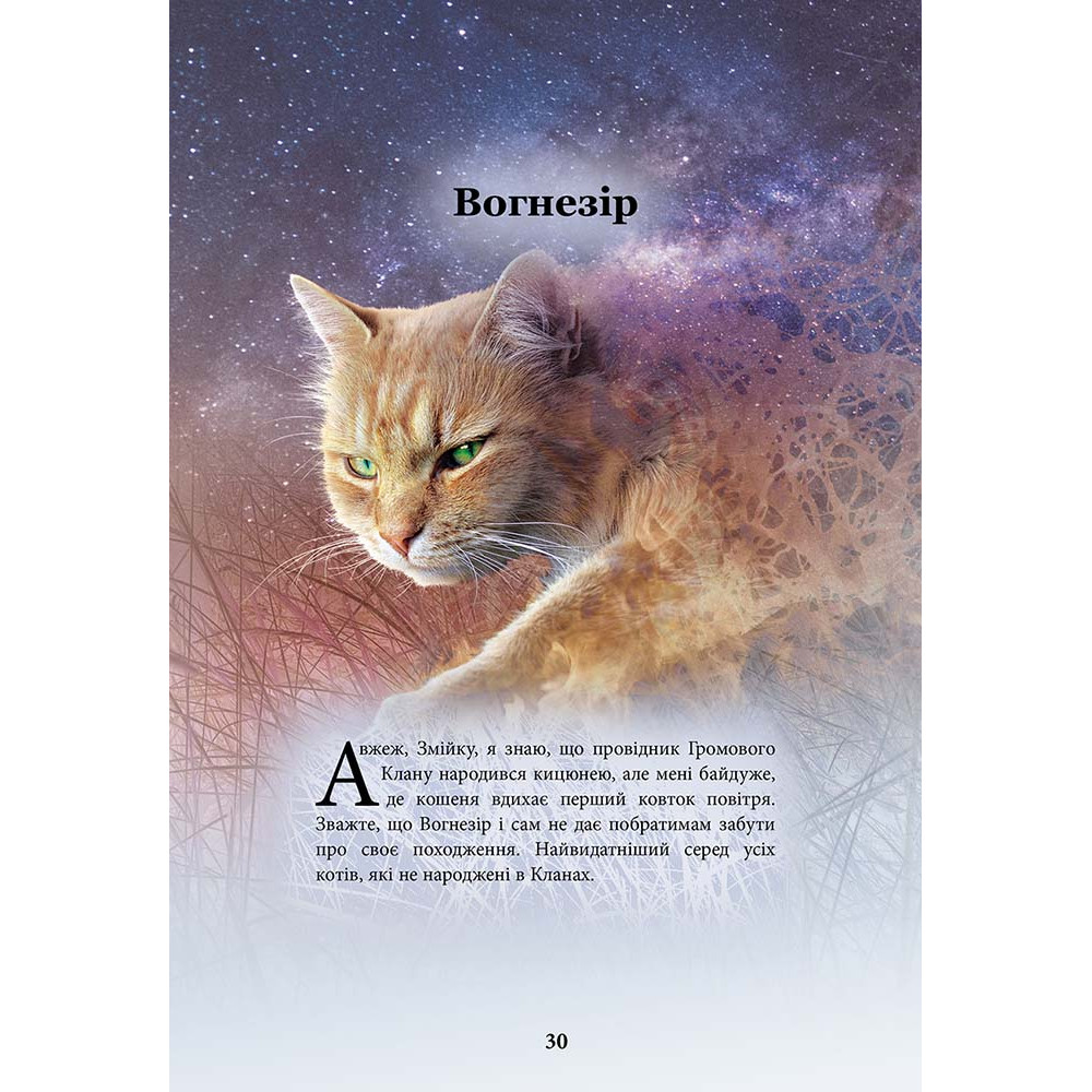 Коти-вояки АССА Герої Кланів. Хроніки Зореклану (Ерін Гантер) Коти-вояки АССА Герої Кланів. Хроніки Зореклану (Ерін Гантер)