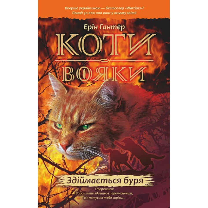 Коти-вояки. Здіймається буря