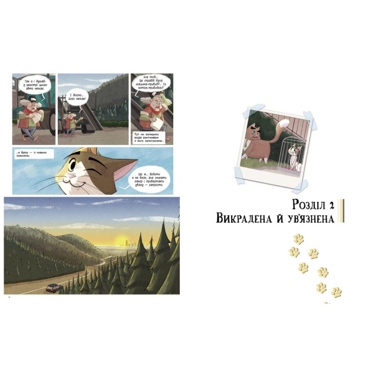 Книга Бріна. Кожен друг - це пригода. Джорджо Салаті Ранок