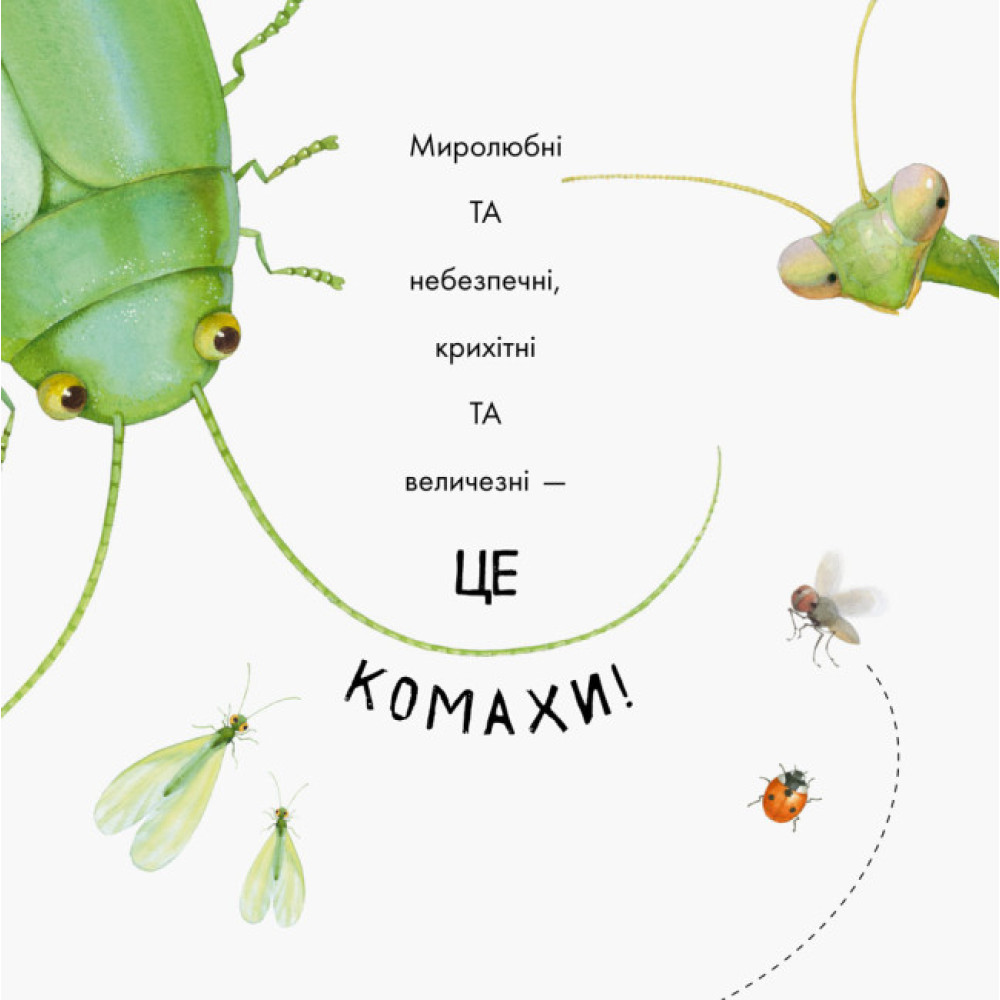 Книга Знайомі комахи. В гостях у природи Ранок Чуб Наталія Книга Знайомі комахи. В гостях у природи Ранок Чуб Наталія