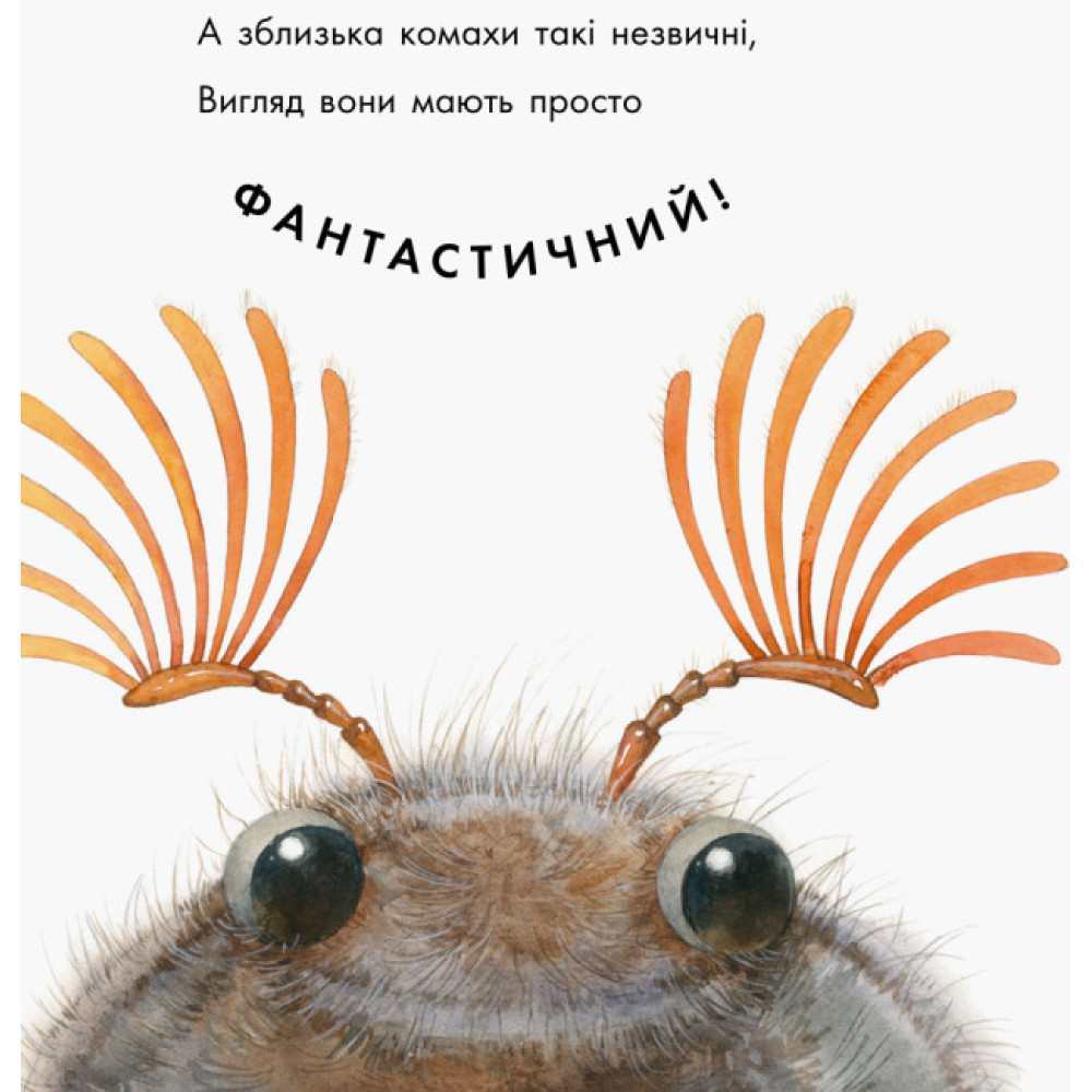 Книга Знайомі комахи. В гостях у природи Ранок Чуб Наталія Книга Знайомі комахи. В гостях у природи Ранок Чуб Наталія