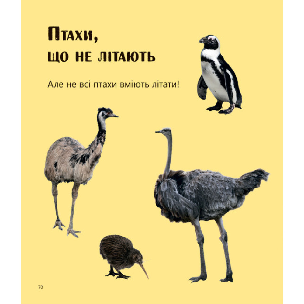 Великі тварини і не тільки... Перше читання Non Fiction. Рівень 1 Ранок Великі тварини і не тільки... Перше читання Non Fiction. Рівень 1 Ранок