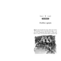 Школа Добра і Зла. Єдиний Істинний король. Книга 6 Ранок Чейнані Зоман