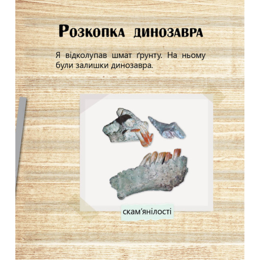 Фантастичні рослини і не тільки… Перше читання Non Fiction. Рівень 3 Ранок