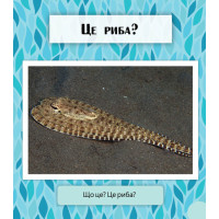 Фантастичні рослини і не тільки… Перше читання Non Fiction. Рівень 3 Ранок