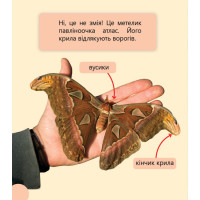 Фантастичні рослини і не тільки… Перше читання Non Fiction. Рівень 3 Ранок