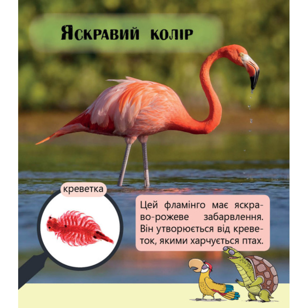Фантастичні рослини і не тільки… Перше читання Non Fiction. Рівень 3 Ранок
