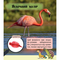 Фантастичні рослини і не тільки… Перше читання Non Fiction. Рівень 3 Ранок