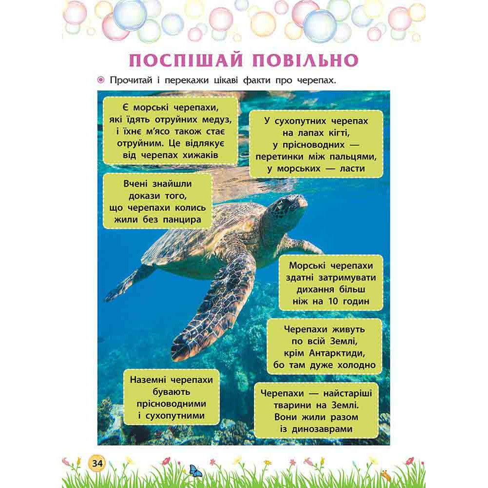 НУШ Секрети знань. Зустрічай 2 клас | Тетяна Квартник, Олена Шаповал НУШ Секрети знань. Зустрічай 2 клас | Тетяна Квартник, Олена Шаповал