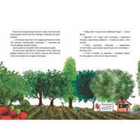 Книга Літо на Бузиновій вулиці Мартіна Баумбах Ранок