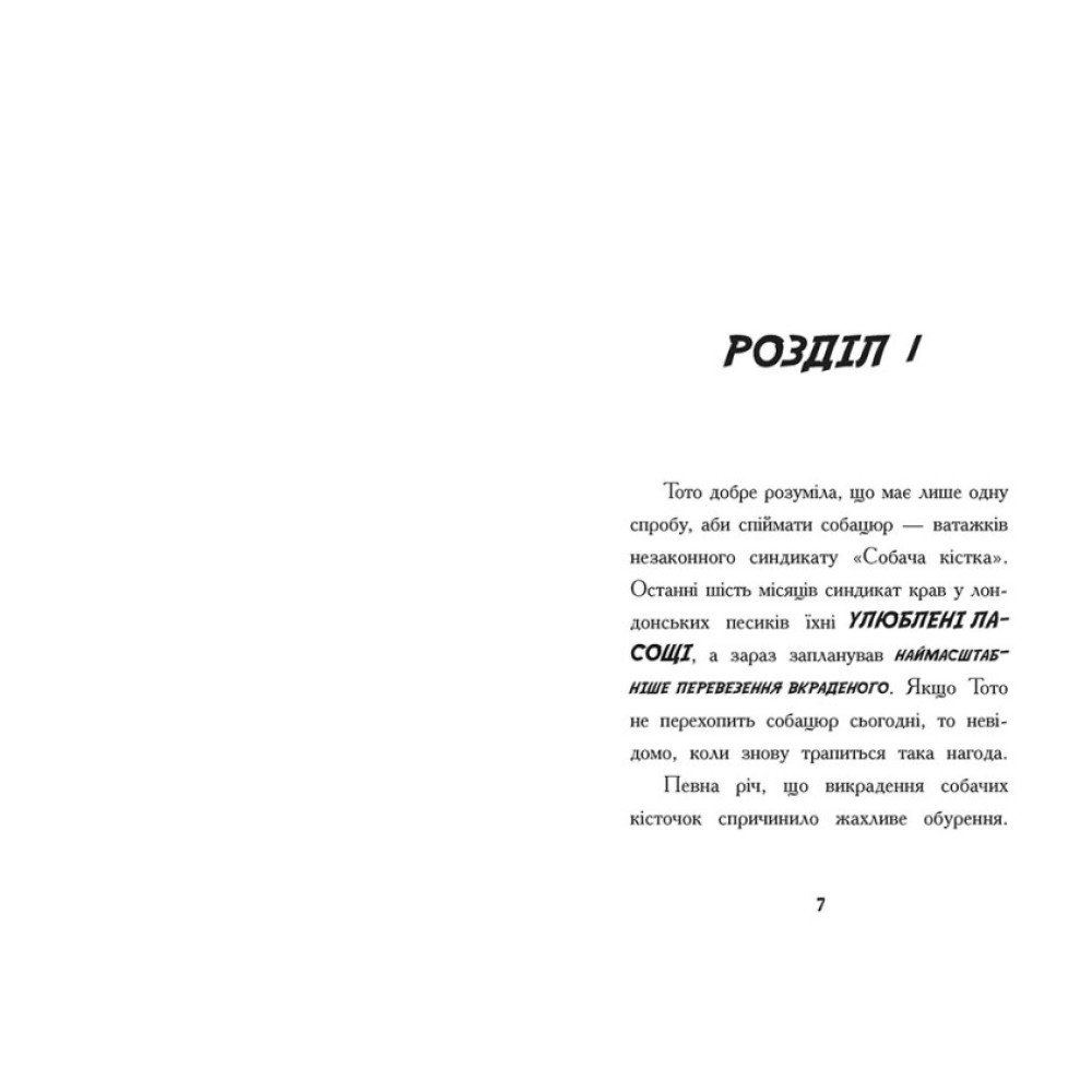Тото. Кішка-ніндзя і КОТОстрофа суперзірки. Книга 3 Дермот О'Лірі Ранок Тото. Кішка-ніндзя і КОТОстрофа суперзірки. Книга 3 Дермот О'Лірі Ранок