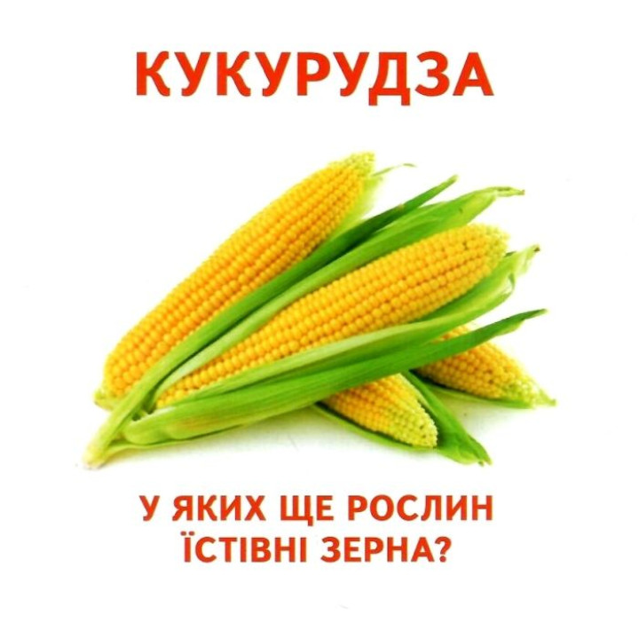 Роздавальні картки. Їстівне та неїстівне Ранок Міні-картки