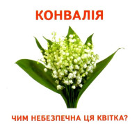 Роздавальні картки. Їстівне та неїстівне Ранок Міні-картки