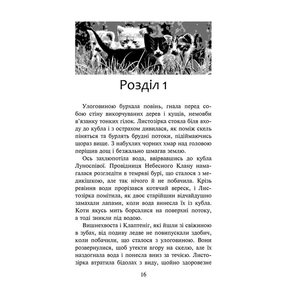 Коти-вояки АССА Доля Небесного Клану. Спеціальне видання Ерін Гантер Коти-вояки АССА Доля Небесного Клану. Спеціальне видання Ерін Гантер