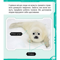 Робопарк і не тільки… Перше читання Non Fiction. Рівень 4 Ранок