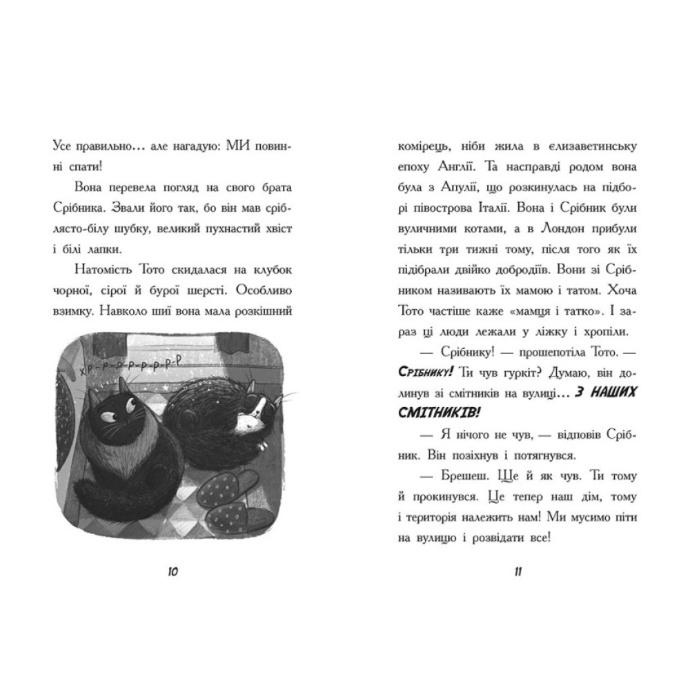 Тото. Кішка-ніндзя та велика втеча змія. Книга 1 Дермот О'Лірі Ранок Тото. Кішка-ніндзя та велика втеча змія. Книга 1 Дермот О'Лірі Ранок