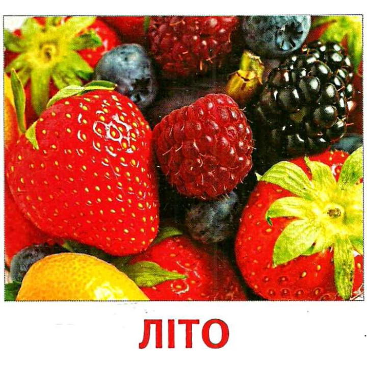 Роздавальні картки. Пори року Ранок Міні-картки