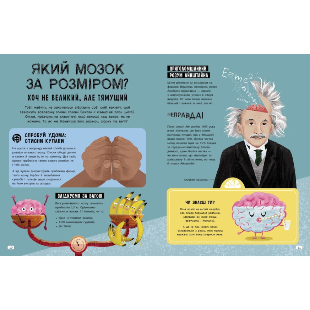 Дивовижний мозок. Ця книжка повна мізків: усілякі мізки та як вони працюють Ранок Тім Кеннінґтон