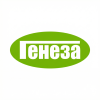 Генеза