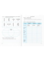 НУШ Робочий зошит Пiдручники i посiбники Біологія 7 клас до підручника Балан та ін.