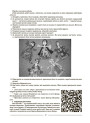 Виховуємо громадянина-патріота України 1-4 класи Основа