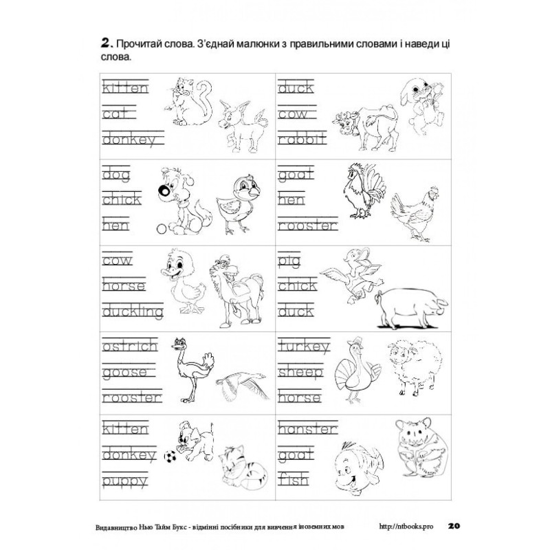 Розмальовка + завдання. Англійська. Свійські (домашні) тварини Нью Тайм