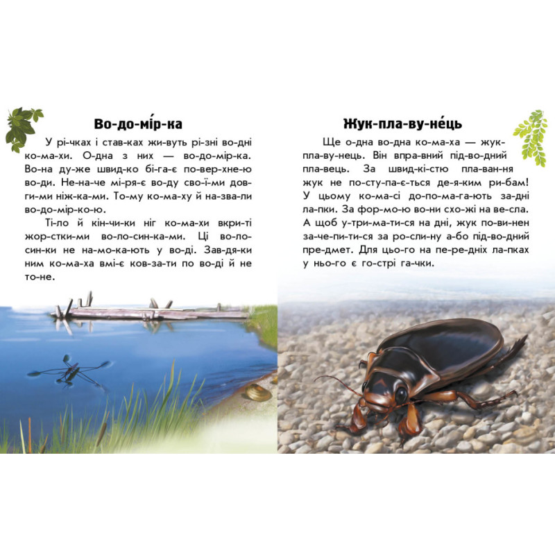 Книга Читаю про Україну. Тварини річок та морів Ранок