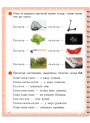 НУШ Вимовляйко Ранок Вчуся вимовляти звуки [с], [с'],[ш]. Зошит для логопедичних занять з використанням мнемотехніки