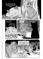 Коти-вояки АССА Манґа 7. Тигрозір і Саша. Повернення до Кланів | Ерін Гантер