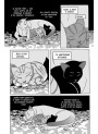 Коти-вояки АССА Манґа 7. Тигрозір і Саша. Повернення до Кланів | Ерін Гантер
