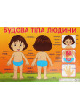 Плакат Ранок Будова тіла людини
