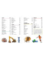 Енциклопедія про все. Наш світ у малюнках Ранок