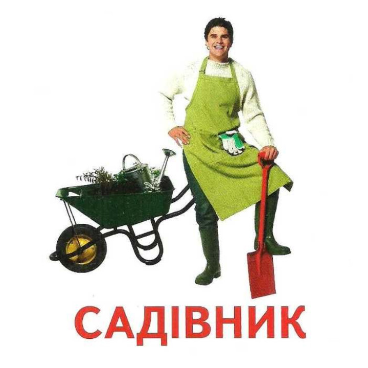 Роздавальні картки. Професії Ранок Міні-картки