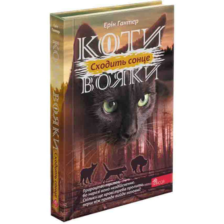 Коти-вояки АССА Сила трьох. Книга 6 Сходить сонце Ерін Гантер