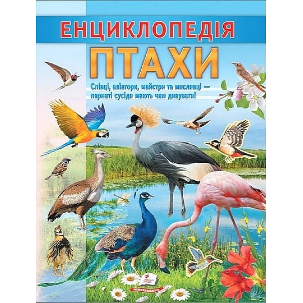 Енциклопедія. Птахи — дитяча книга про птахів Енциклопедія. Птахи — дитяча книга про птахів